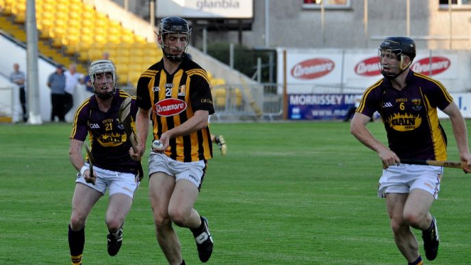 Wexford Intermediates Complete Great Week for County