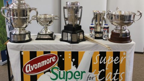 Kilkenny GAA