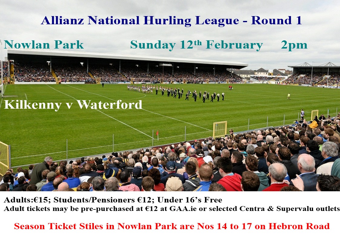 Waterford in Nowlan Park on Sunday