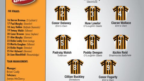 Kilkenny team Vs Dublin