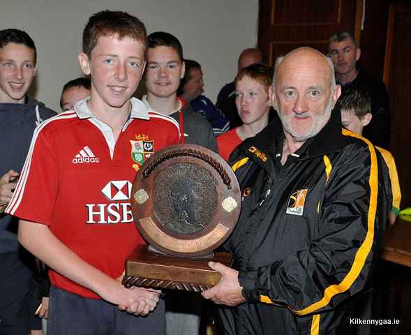 Lisdowney Sevens Kilkenny GAA Lisdowney Sevens Kilkenny GAA