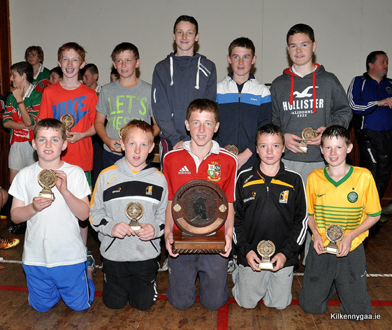 Lisdowney Sevens Kilkenny GAA Lisdowney Sevens Kilkenny GAA