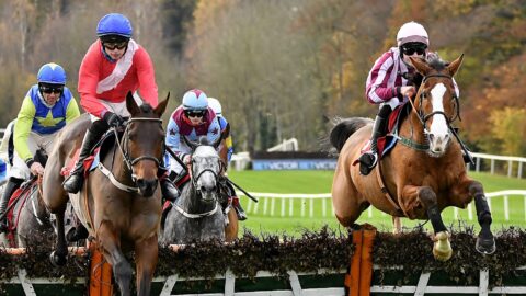 Kilkenny GAA/Supporters Club Race Day