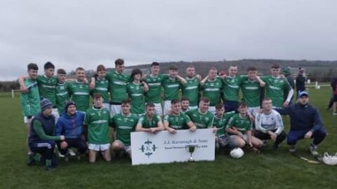 JJ Kavanagh & Sons U-21 Roinn E County Final – Emeralds v Tullaroan