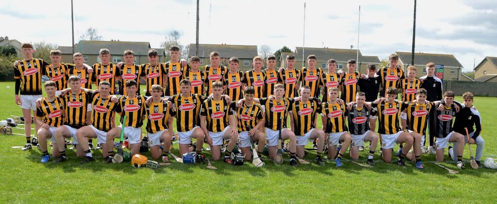 Electric Ireland Leinster MHC; Kilkenny Claim Opening Round Win Over Wexford