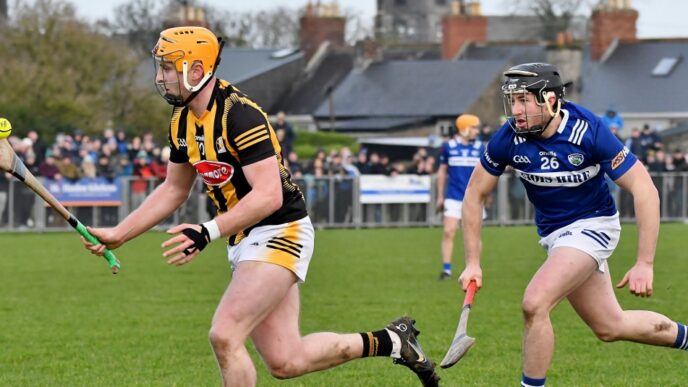 Kilkenny cruise to victory against Laois in Round 2 of the Walsh Cup in Rathdowney