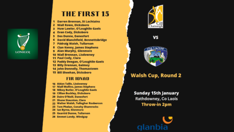 Kilkenny vs Laois – Walsh Cup, Round 2