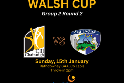 Kilkenny v Laois – Walsh Cup Round 2