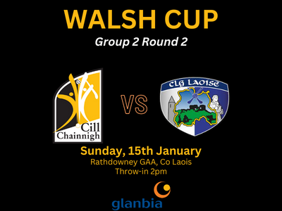 Kilkenny v Laois – Walsh Cup Round 2