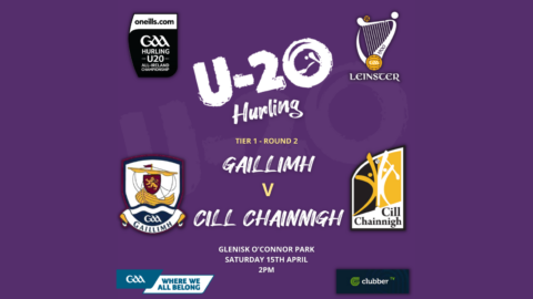 Kilkenny u-20 Team to face Galway Named