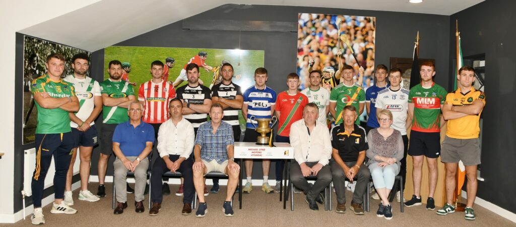 Michael Lyng Motors Hyundai Intermediate Hurling Final & JJ Kavanagh & Sons Junior Hurling Final