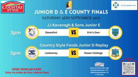 Country Style Foods Junior D County Final & JJ Kavanagh & Sons Junior E County Final Replay