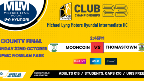 Michael Lyng Motors Hyundai Intermediate Hurling County Final