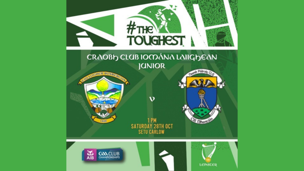AIB Leinster Club JHC 2023 – Round 1 – Tullogher Rosbercon v St Patrick’s, Wicklow