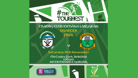 AIB Leinster Club IHC Q-Final – Cloughbawn (WX) v Thomastown (KK)