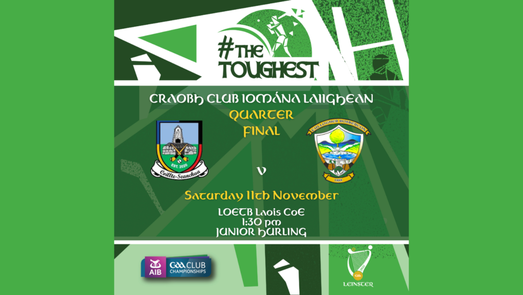 AIB Leinster Club JHC QF -Colt Shanahoe (LS) v Tullogher Rosbercon (KK)