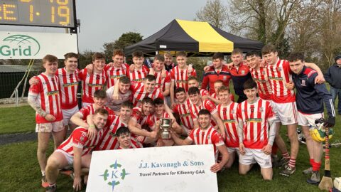 JJ Kavanagh & Sons U-21 titles for Young Irelands, Glenmore and Fenians