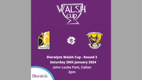 Kilkenny Team to play Wexford in Round 3 of the 2024 Dioralyte Walsh Cup