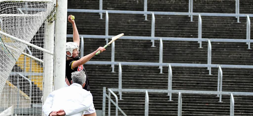 Leinster MHC Round 3 – Kilkenny team v. Dublin named