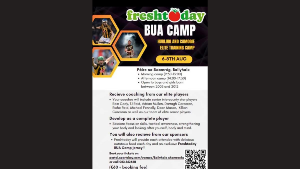Shamrocks Ballyhale Bua Camp