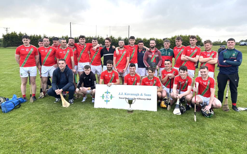 JJ Kavanagh Junior E & F Hurling League Finals