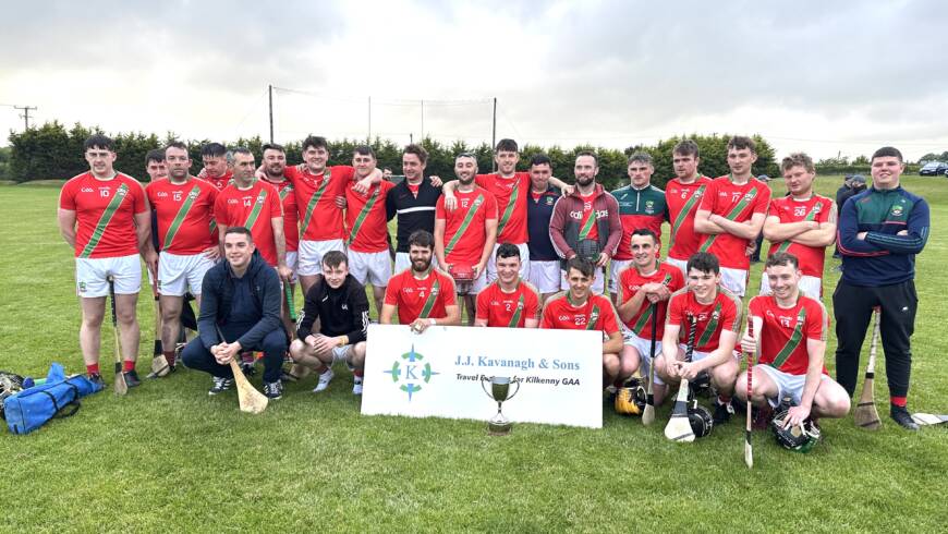 JJ Kavanagh Junior E & F Hurling League Finals