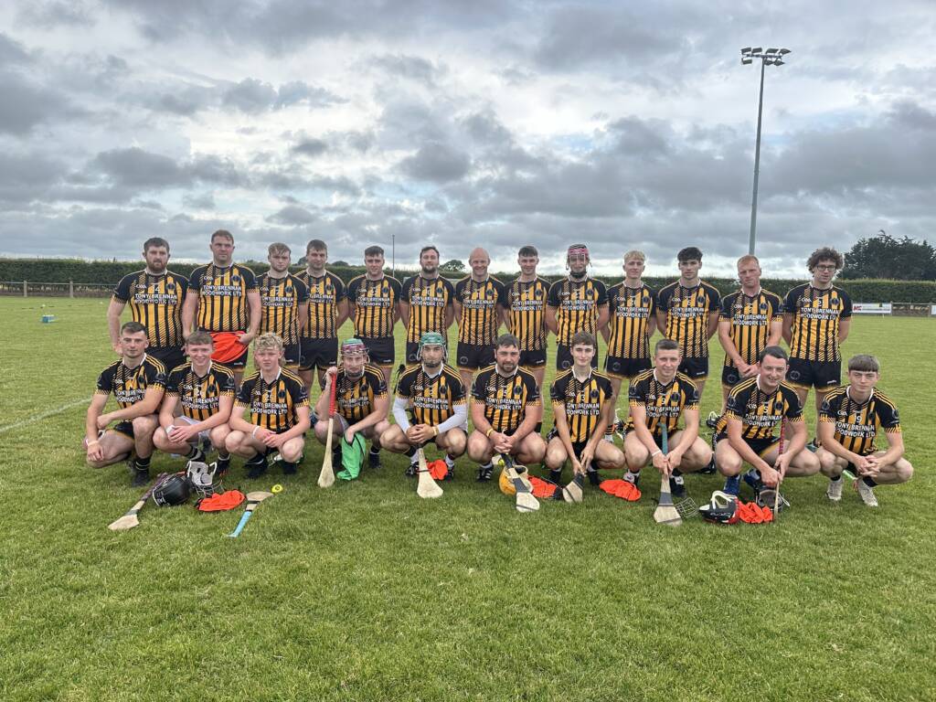 Junior Hurling A to F Championship Update
