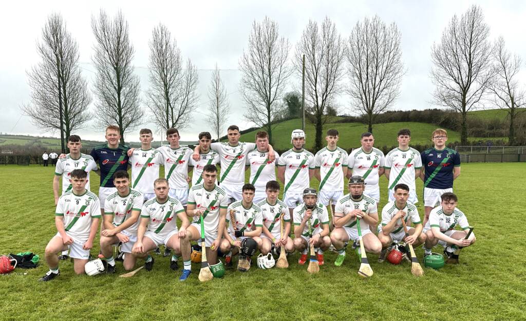 JJ Kavanagh & Sons County Under 21C  Final – Tullaroan 3-9; Dicksboro 0-12