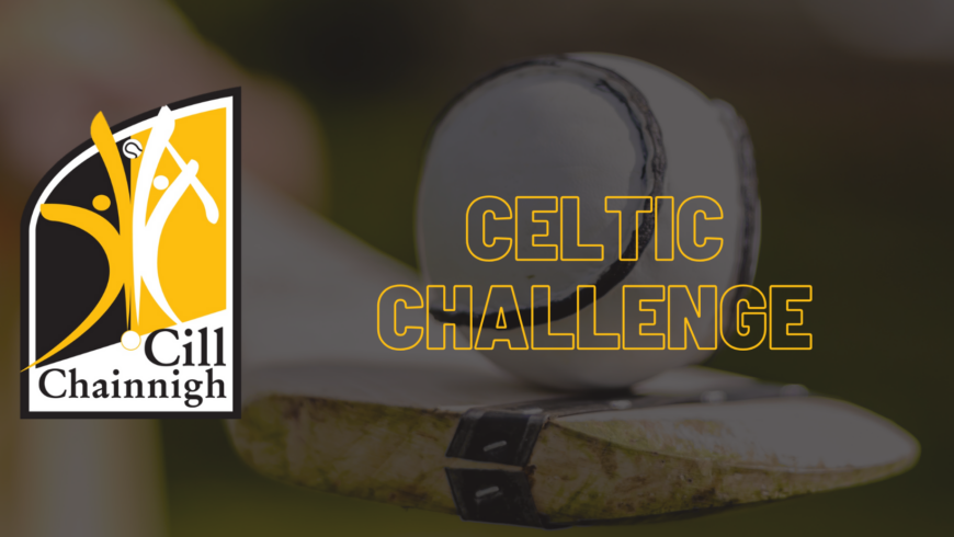 Electric Ireland Celtic Challenge Quarterfinal – Kilkenny Team v. Waterford Named