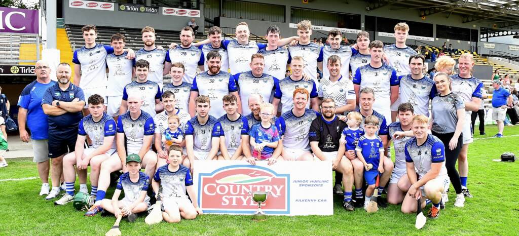 Junior D, E and F Hurling Championship Final Reports