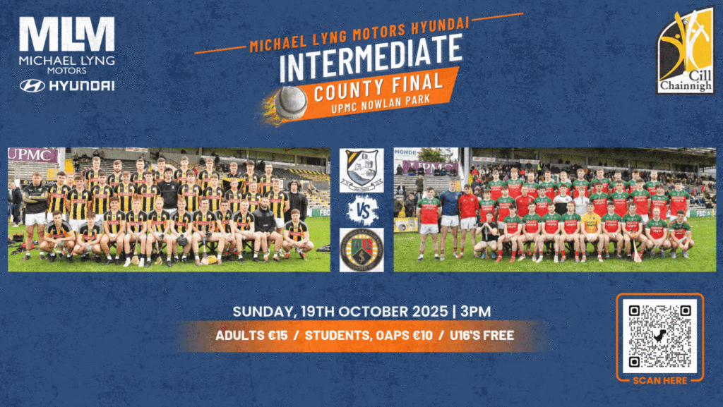 Michael Lyng Motors Hyundai Intermediate County Final