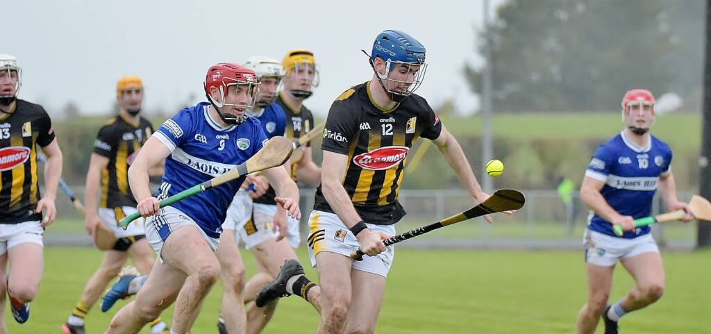 Kilkenny Advance to the Dioralyte Leinster Walsh Cup Shield Final
