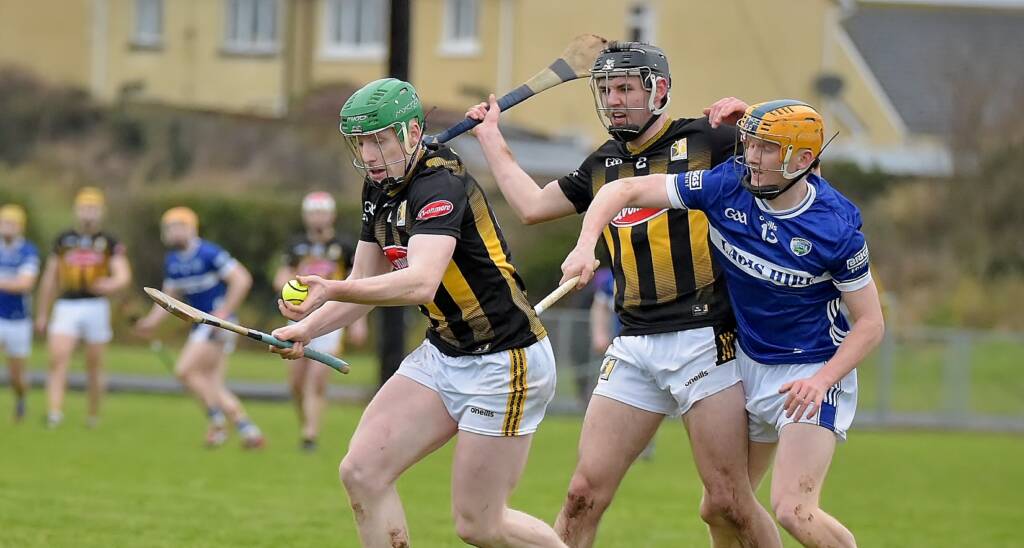 Kilkenny Team v. Kildare Named for the Dioralyte Leinster Walsh Cup Shield Final
