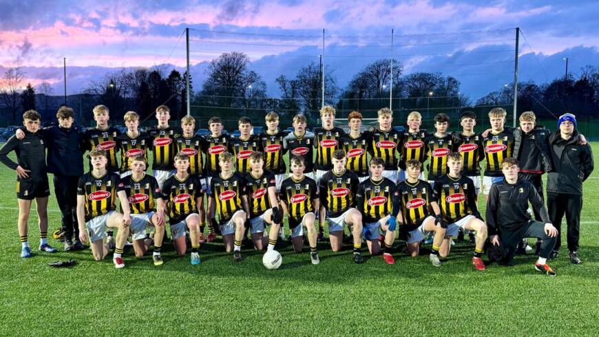 Electric Ireland Leinster MFC: Kilkenny team vs Carlow named