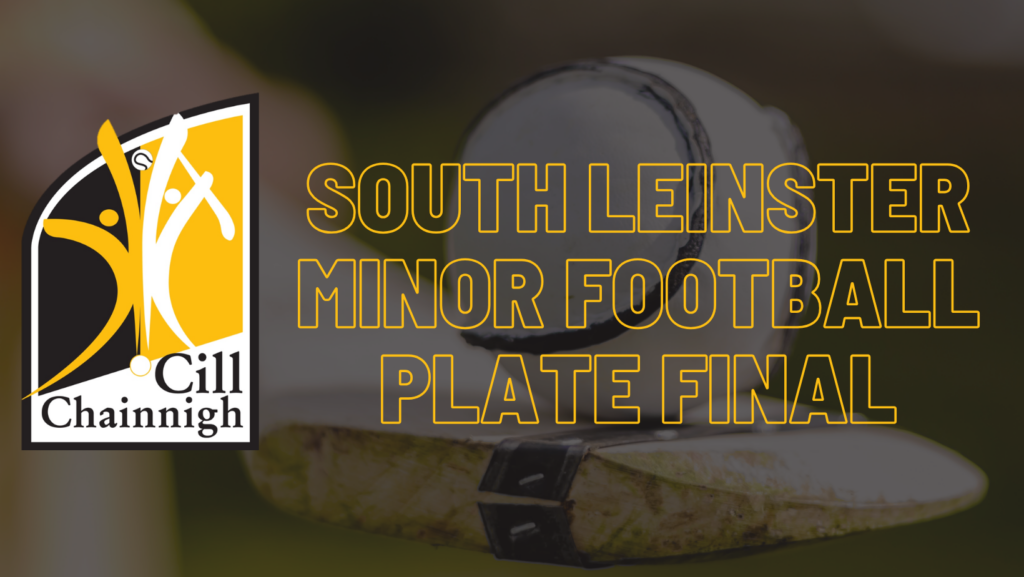 2026 Minor Football – South Leinster Plate Final