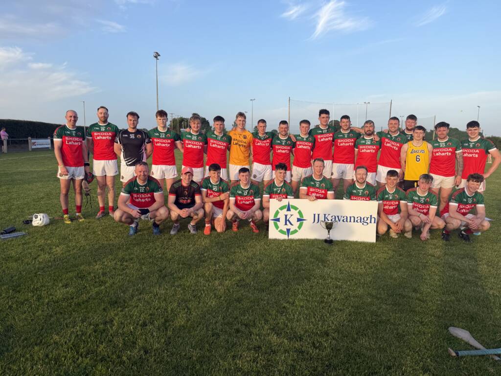 JJ Kavanagh B League Final and Iverk Produce C League Final