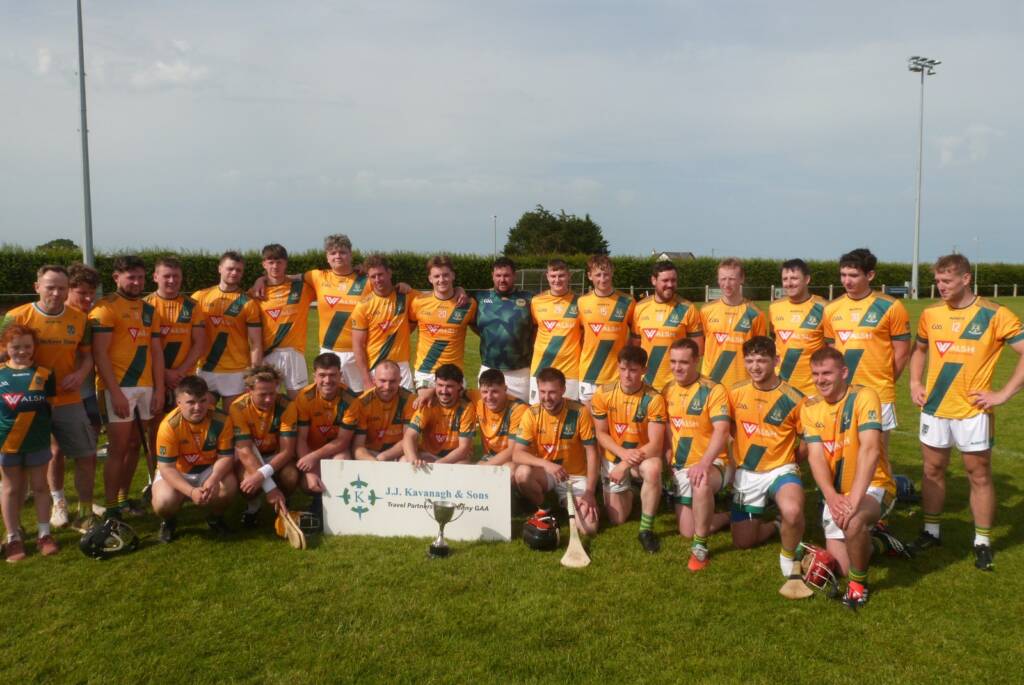 Threecastles Win First Ever JJ Kavanagh Junior A League Title