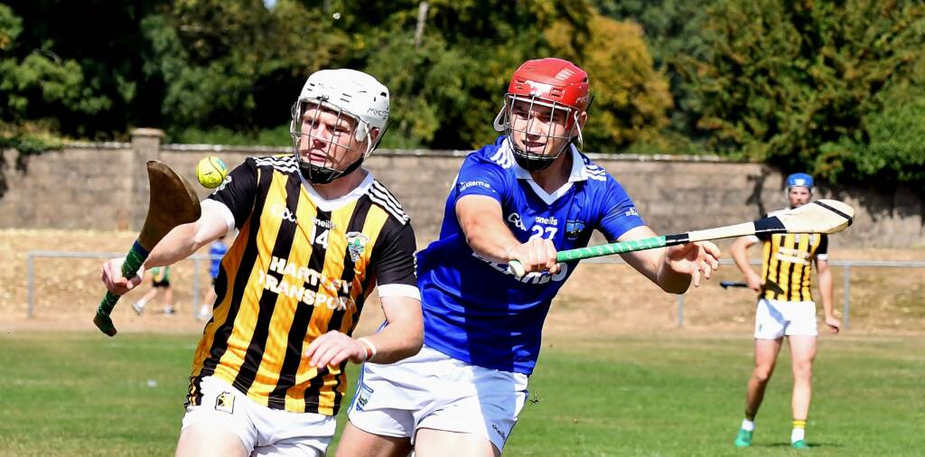Plenty Still to Play For Ahead of Final Round of Hurling Leagues