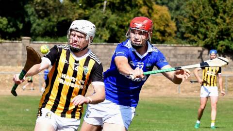Plenty Still to Play For Ahead of Final Round of Hurling Leagues
