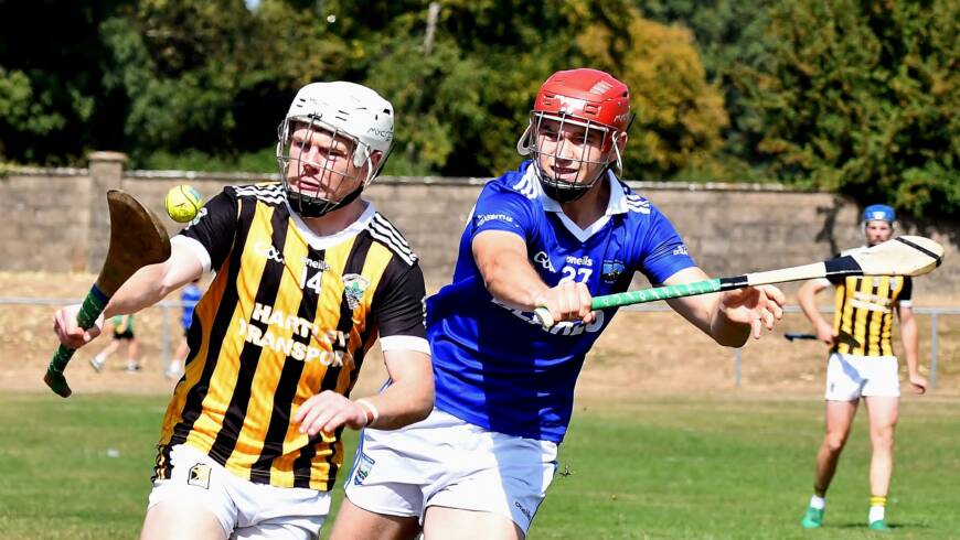 Plenty Still to Play For Ahead of Final Round of Hurling Leagues